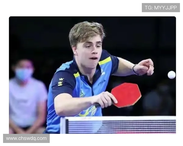 刘军乒乓球人生的深度对话与成长历程探秘 刘军乒乓球人生的深度对话与成长历程探秘