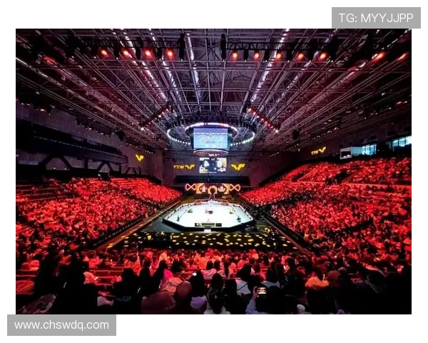 北京乒乓球队在钻石联赛中的辉煌历程与突破成就全景回顾 北京乒乓球队在钻石联赛中的辉煌历程与突破成就全景回顾