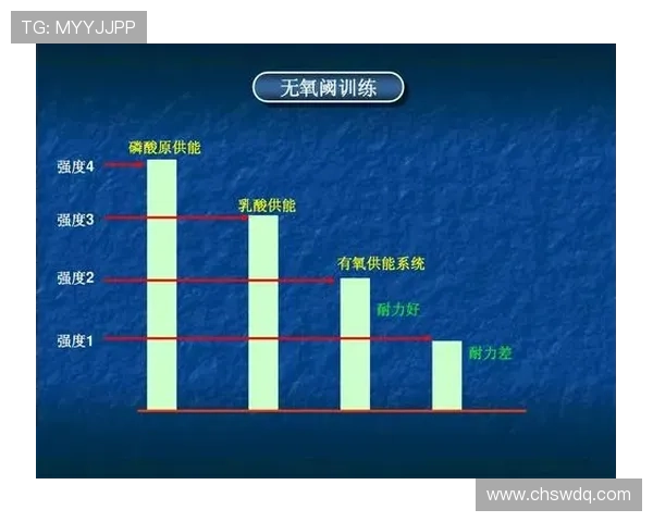 深圳羽毛球队耐力对比深度解析与训练策略探讨