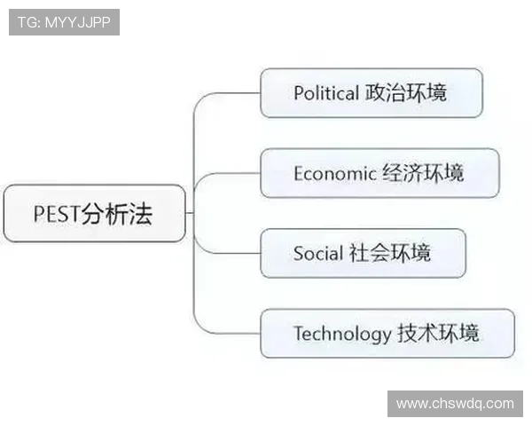 深入探讨北京羽毛球队的力量表现与数据分析的关系及其对比赛成绩的影响