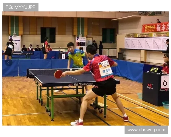 南京乒乓球队的拼搏历程与荣耀时刻全景回顾